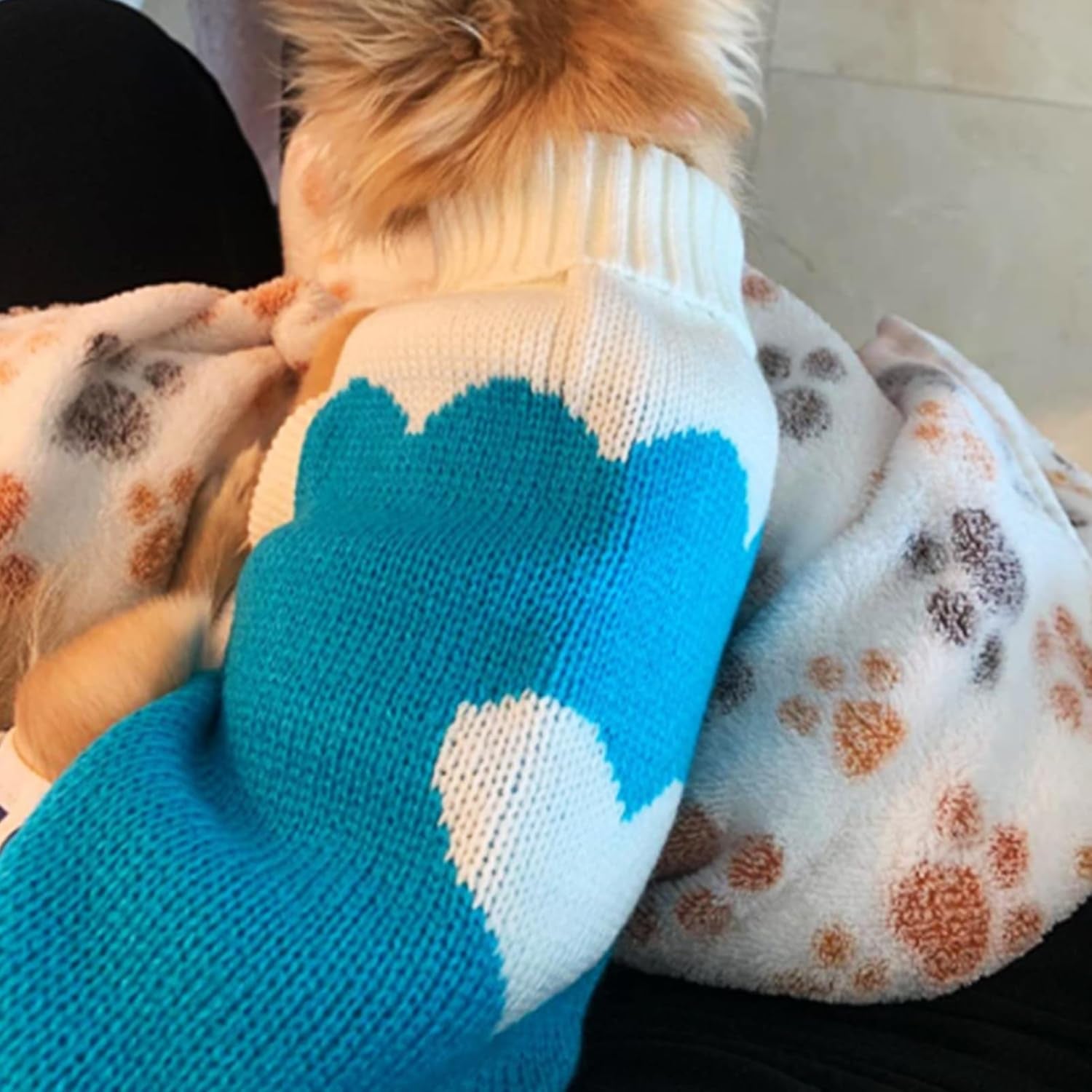 Pet Dog Sweaters Classic Knitwear Turtleneck Winter Warm Puppy Clothing Cute Strawberry and Heart Doggie Sweater